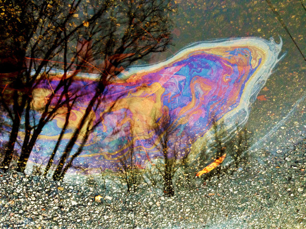 Picture of trees reflected in a rainbow colored oil-spill in the rain.